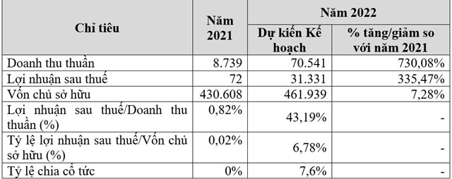 &nbsp;Nguồn: Nghị quyết Đại hội đồng cổ đ&ocirc;ng thường ni&ecirc;n năm 2022 số 02/NQ/ĐHĐCĐ/3006 ng&agrave;y 30/06/2022 của CTCP Hạ tầng v&agrave; Bất động sản Việt Nam)